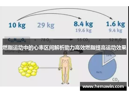 燃脂运动中的心率区间解析助力高效燃脂提高运动效果